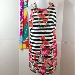 Eliza J b/w stripe sheath dress red poppies 8